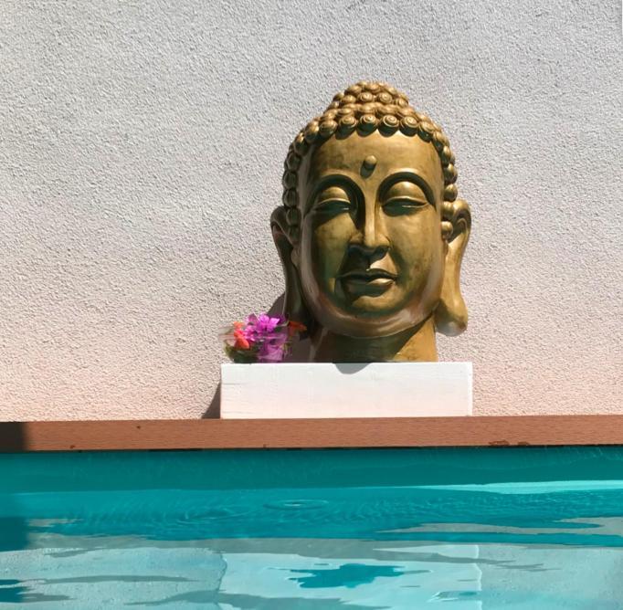 Lota With Heated Pool On Location